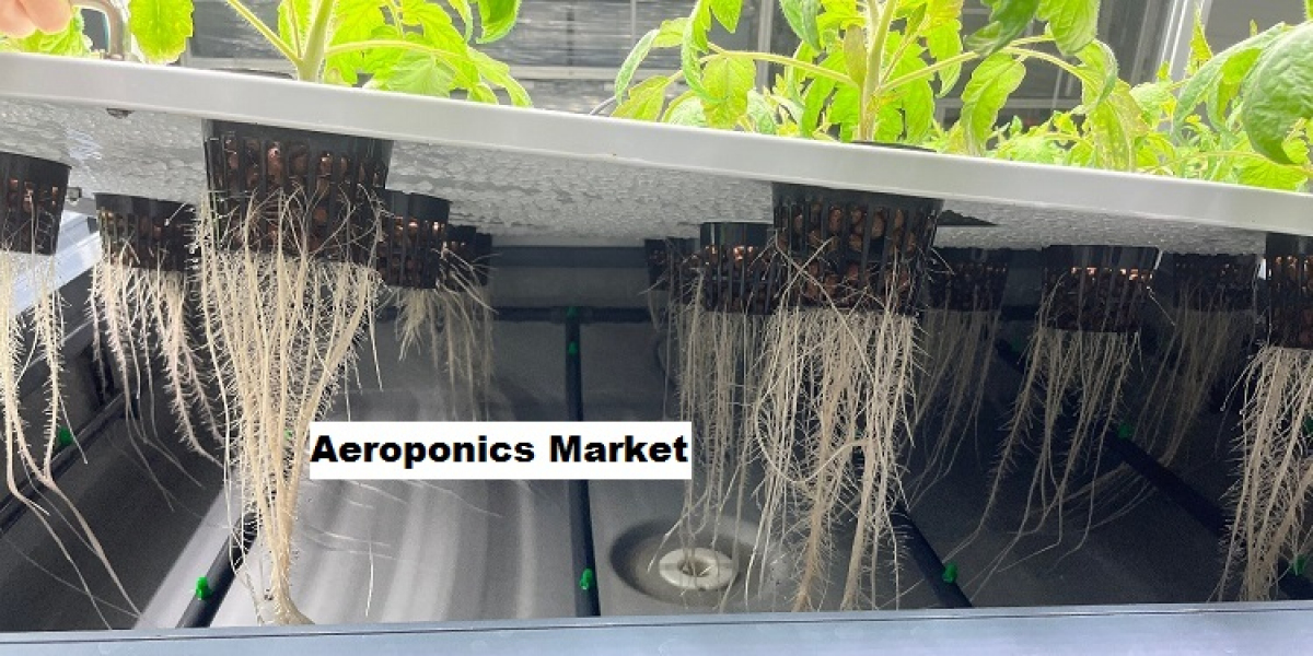 Aeroponics Market Outlook: Labor Cost Reduction and Tech Shaping Future Growth