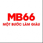 MB66 trading