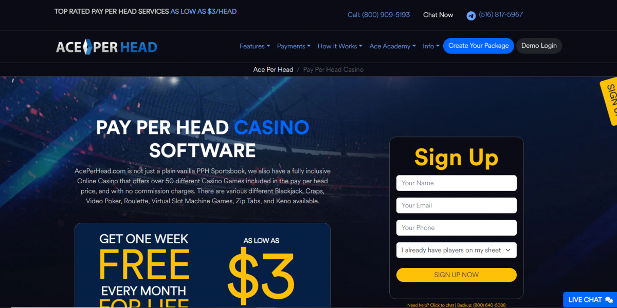 Pay Per Head Casino Software: Launch Your Online Casino Today