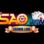 saowin