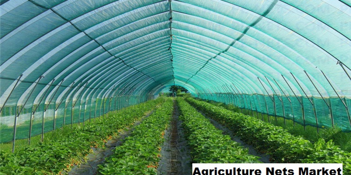 Agriculture Nets Market Forecast 2025-2029: Crop Protection and Practices