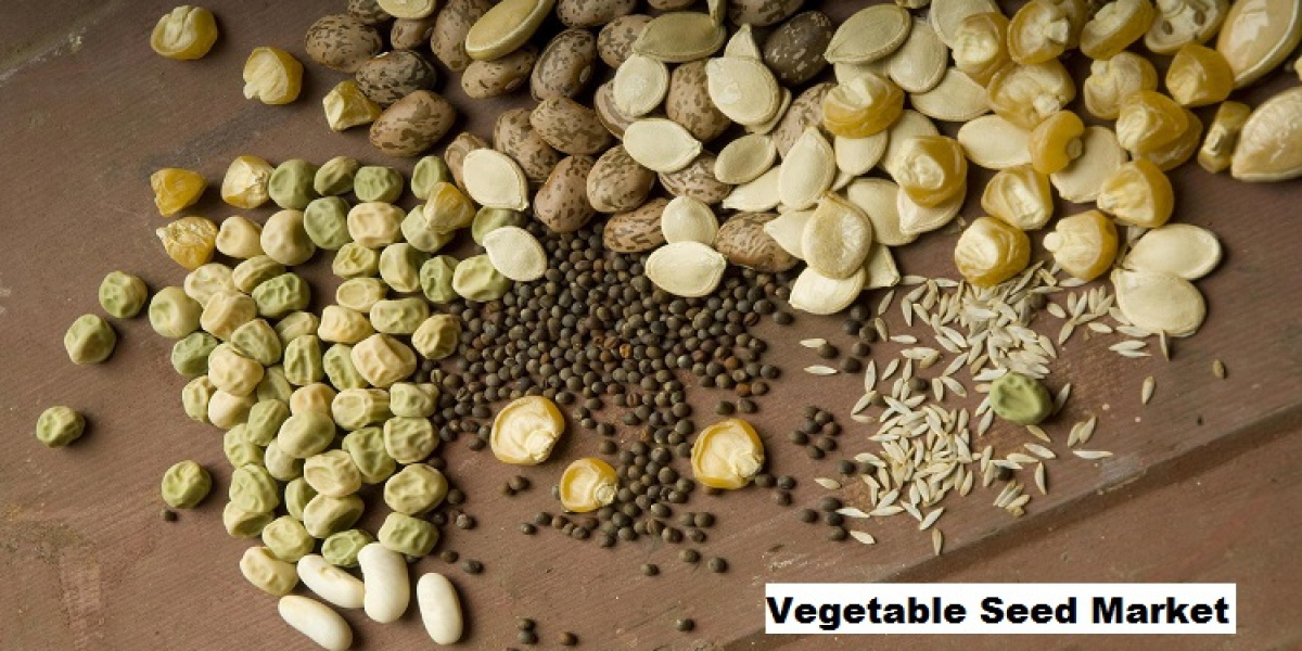 Vegetable Seed Market: Growth Driven by Tech and Sustainability Factors