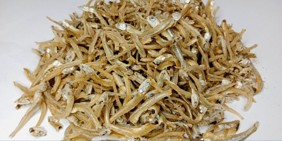 Anchovies Manufacturing Plant Project Report 2025: Key Insights and Plant Setup