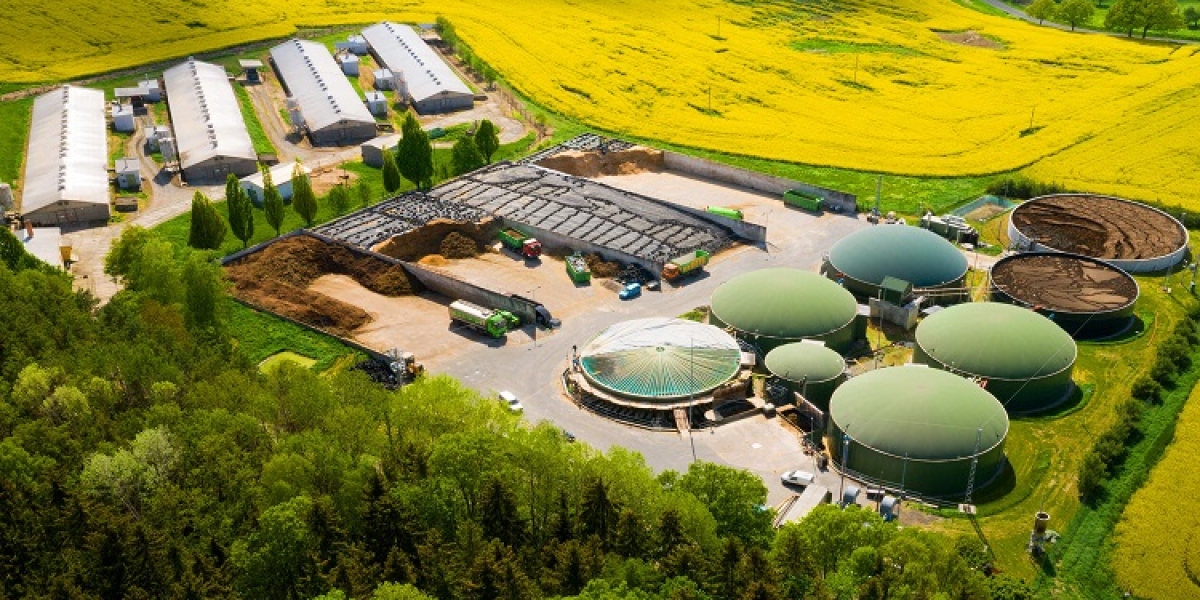 Biogas Market Set to Grow Due to Rising Clean Energy and Waste Management Needs