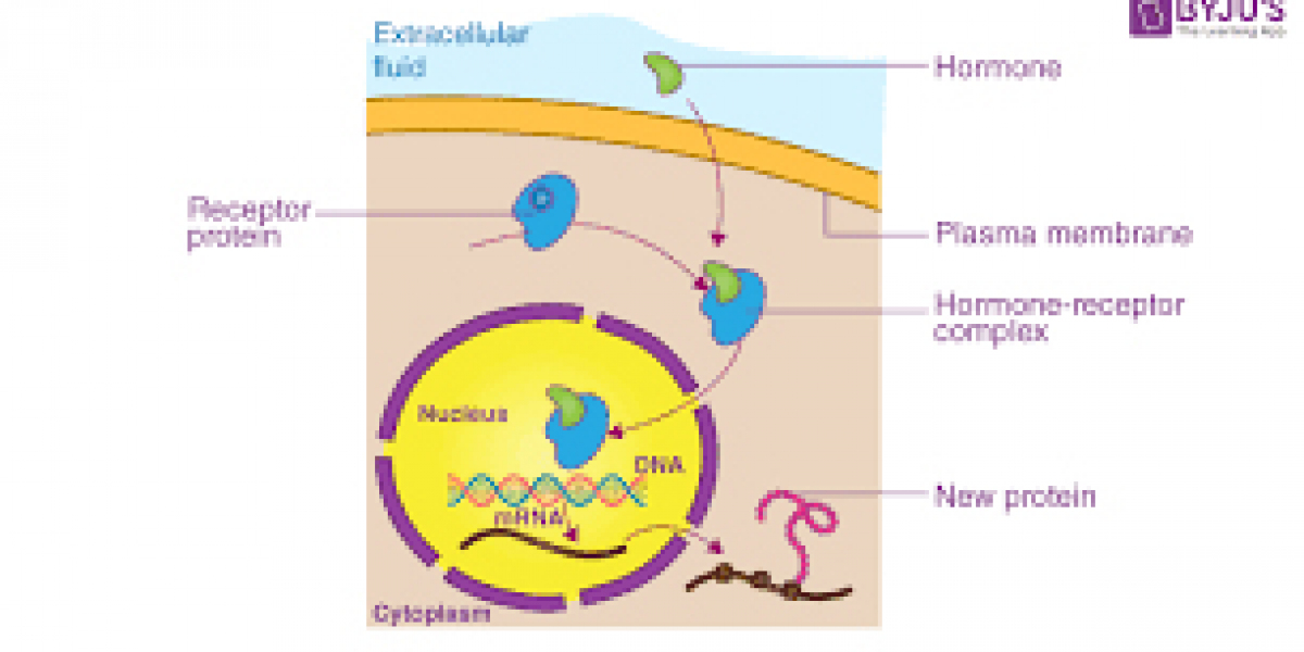 Unlocking the Secrets of Gene Regulation: From DNA to Phenotype