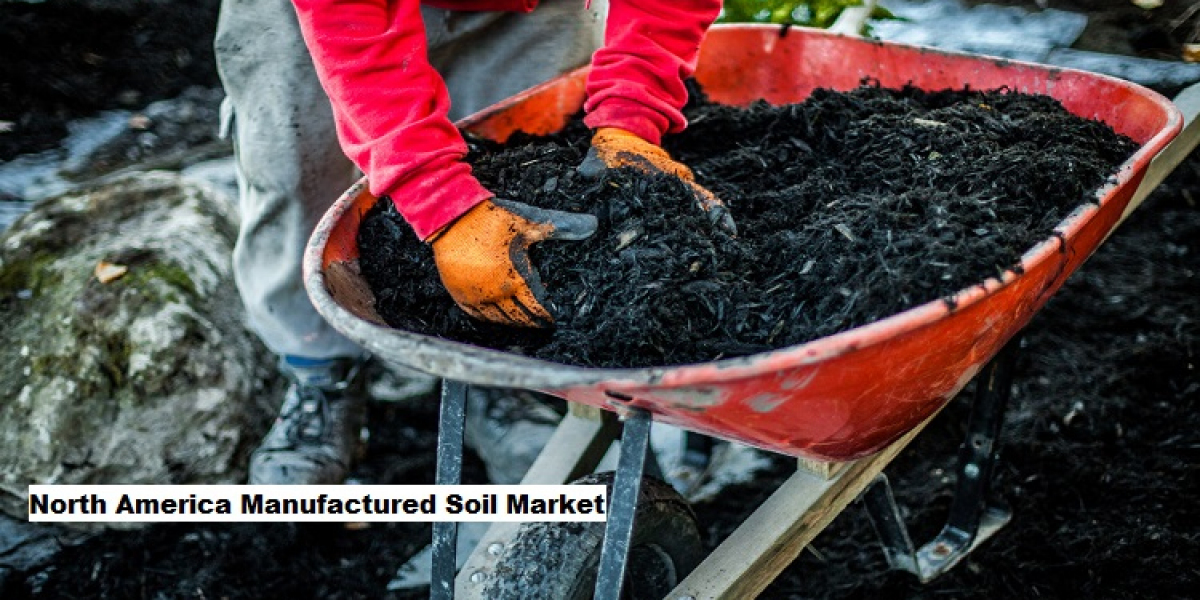 North America Manufactured Soil Market Trends: Agriculture and Tech Boost