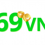 69vnking com