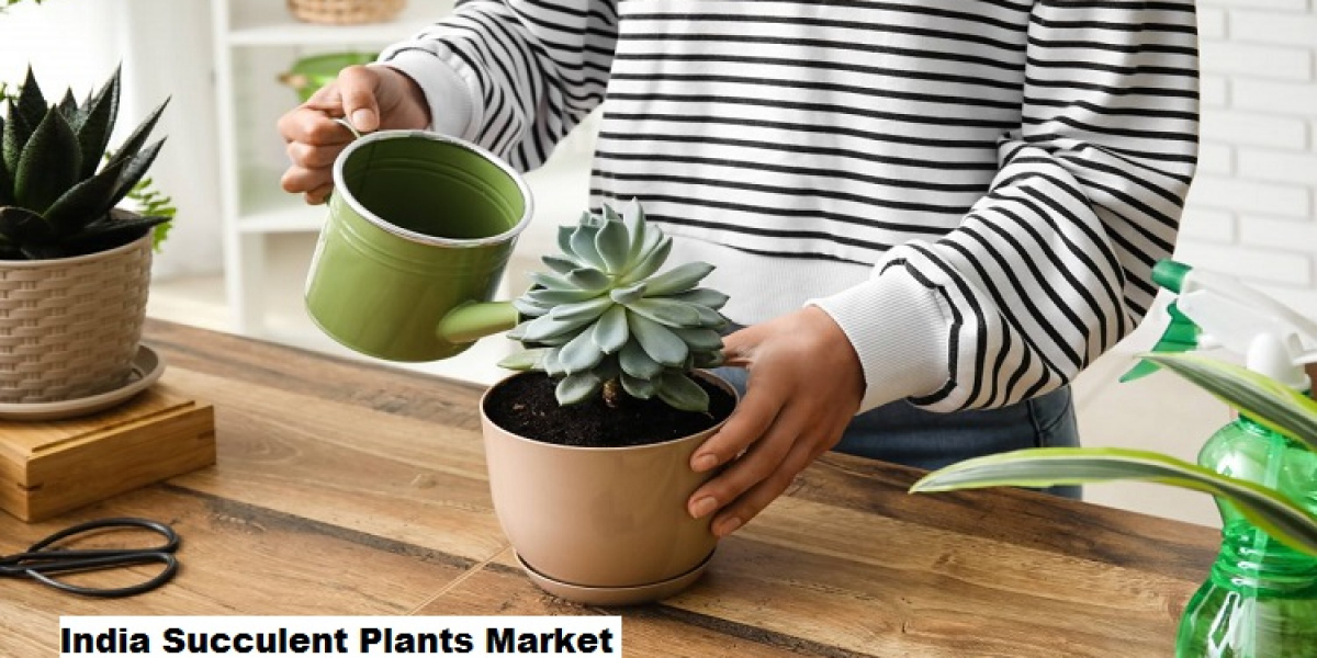 India Succulent Plants Market: Home Décor and E-Commerce Trends to Shape Demand