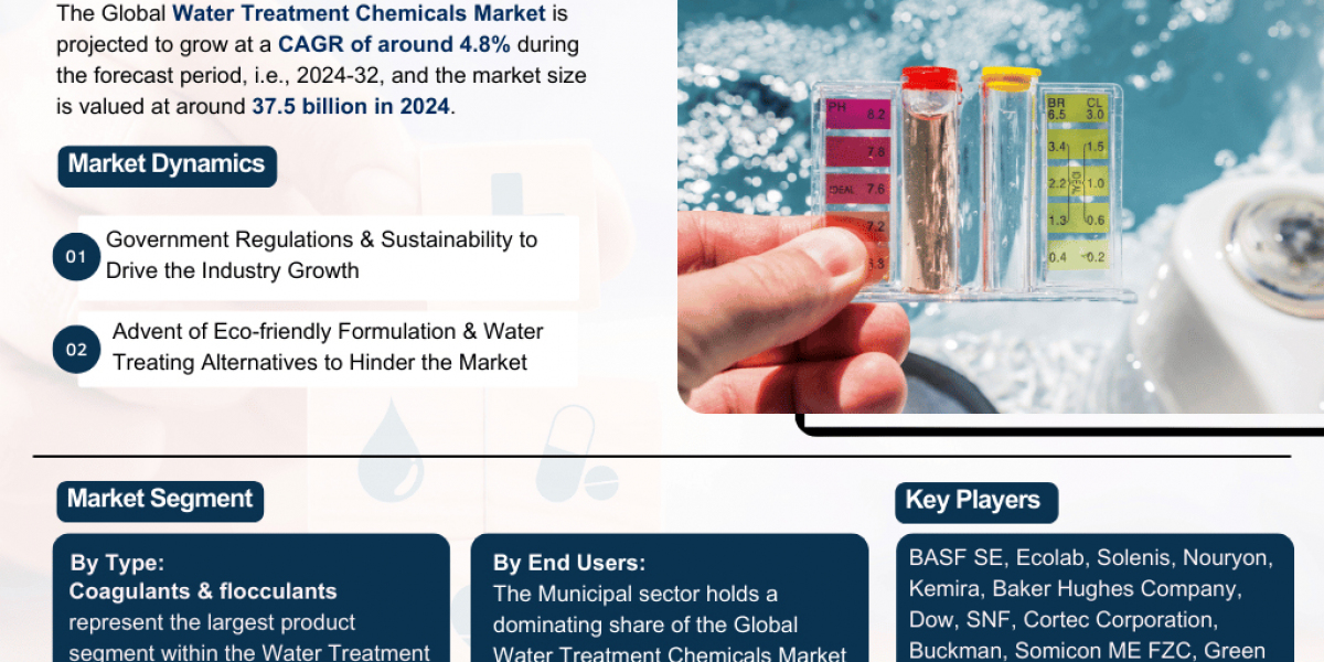 Water Treatment Chemicals Industry Analysis: Market Share, Size & Forecast 2024-2032