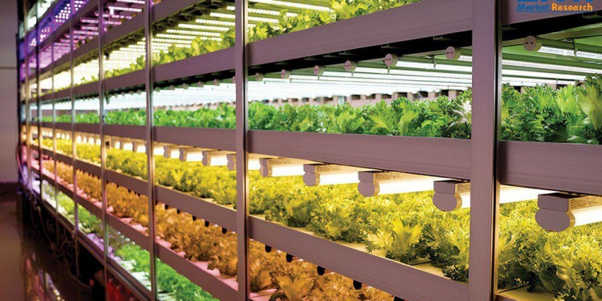 US Vertical Farming Market Size, Analyzing Innovations, Trends, Analysis, 2032