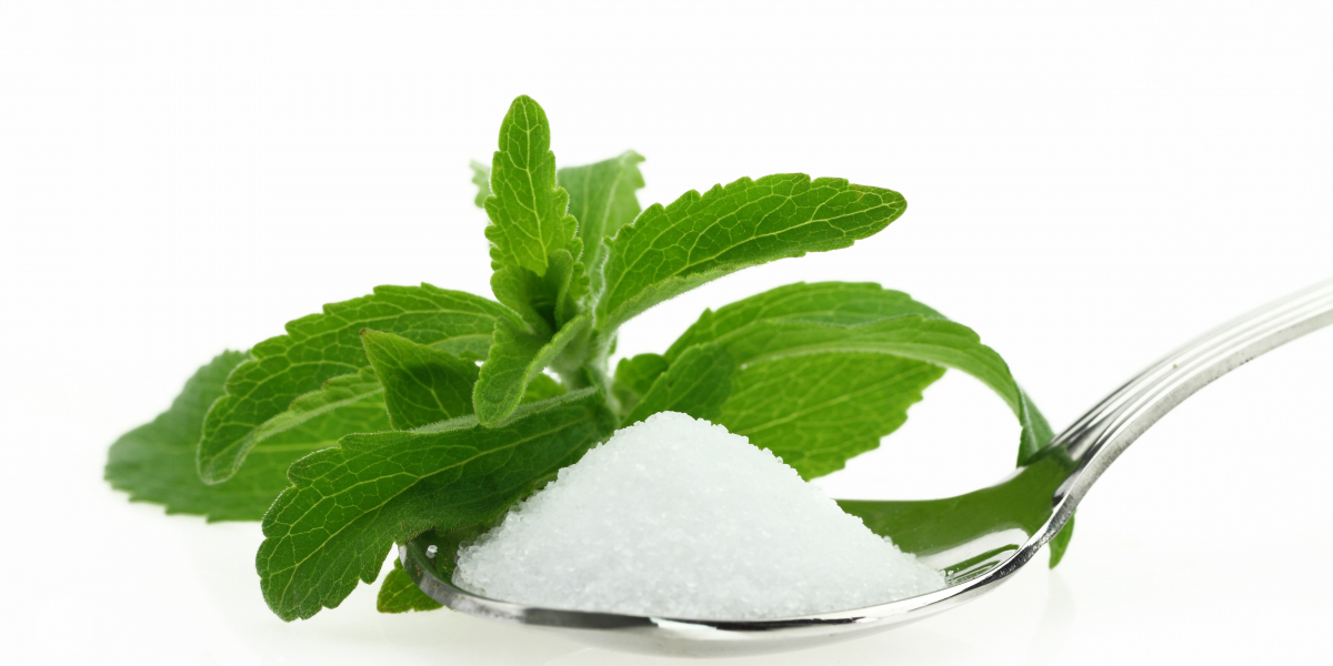 Stevia Extract Manufacturing Plant Project Report: Machinery Requirements, Raw Materials and Business Plan