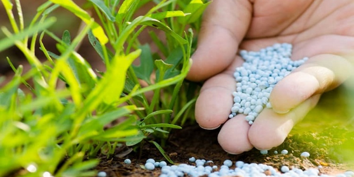 Polymer Coated Fertilizers Market Analysis: Growing Demand from Global Factors