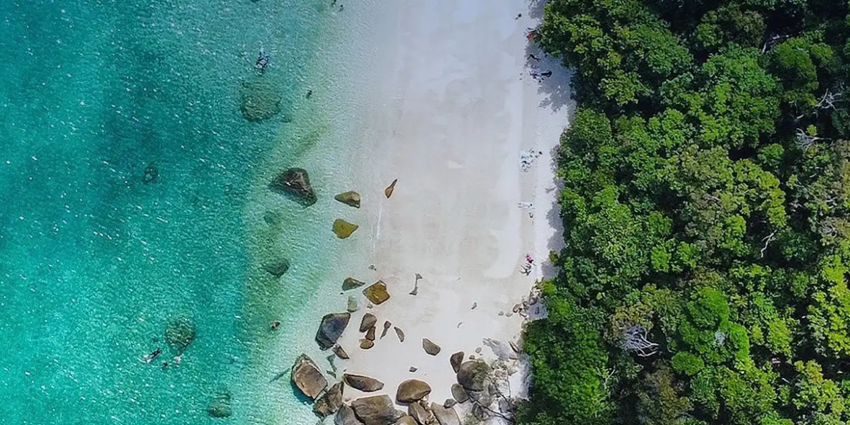 Top Things to Do on Fitzroy Island - A Complete Guide to Your Dream Getaway