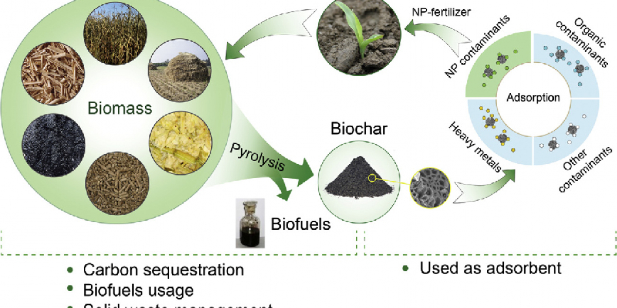 Biochar Market Research Trends Analysis by 2024-2034