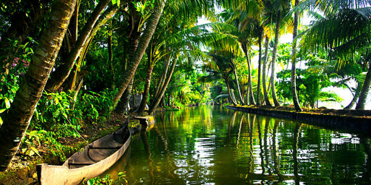 Top 5 Must-See Spots in Kerala’s Backwaters