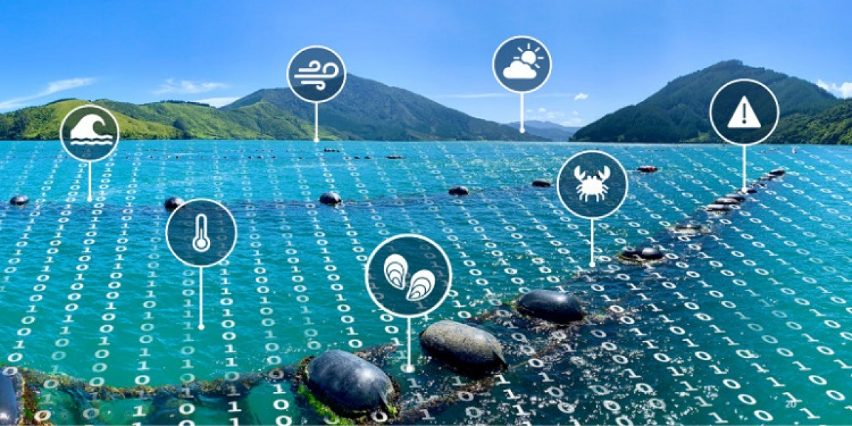 Precision Aquaculture Market: Infrastructure Development Key for Future Growth