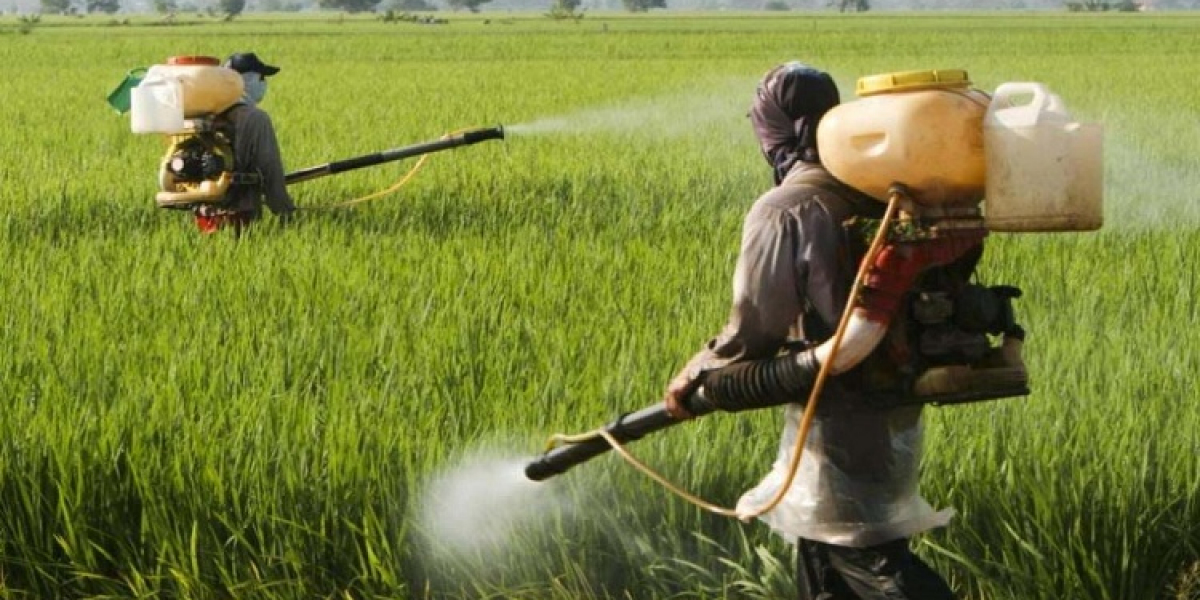 China Insecticides Market: Expanding Use of GM Crops Drives Market Growth