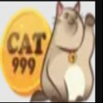 cat999 kim