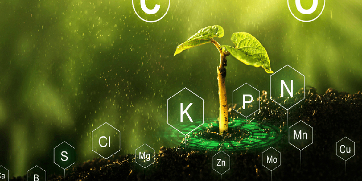 China Plant Growth Regulators (PGRs) Market: Powered by Precision Ag & PGR Trends