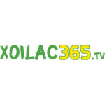 Xoilac TV Trực Tiếp Bóng Đá