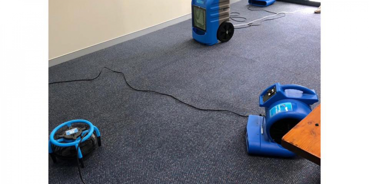 Expert Carpet Cleaning Sydney for Spotless Floors