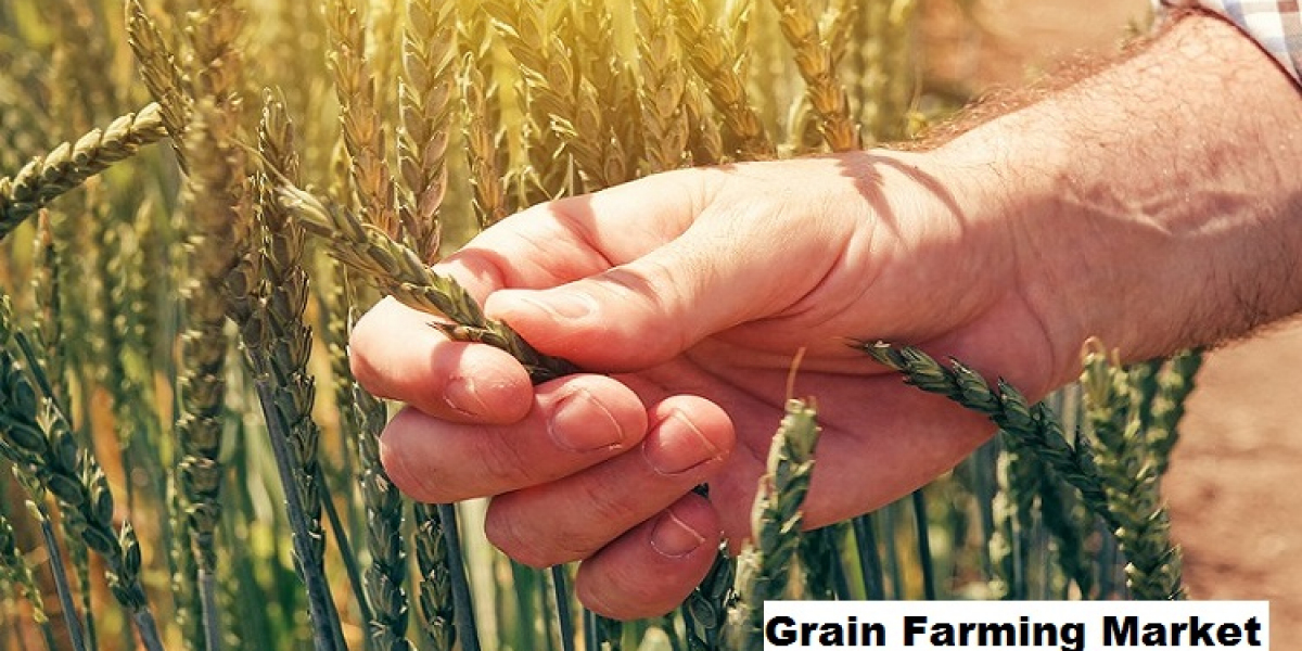 Grain Farming Market: Future Growth Driven by Changing Diets and Industry Shifts