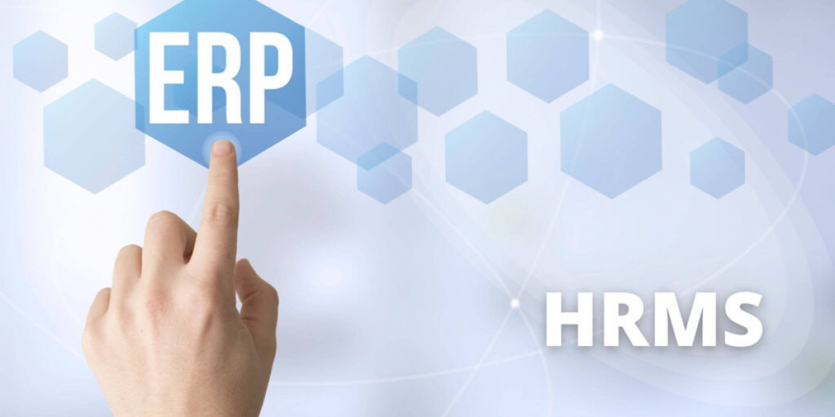 Maximizing Operational Efficiency: How ERP and HRMS Software Shape Modern Business