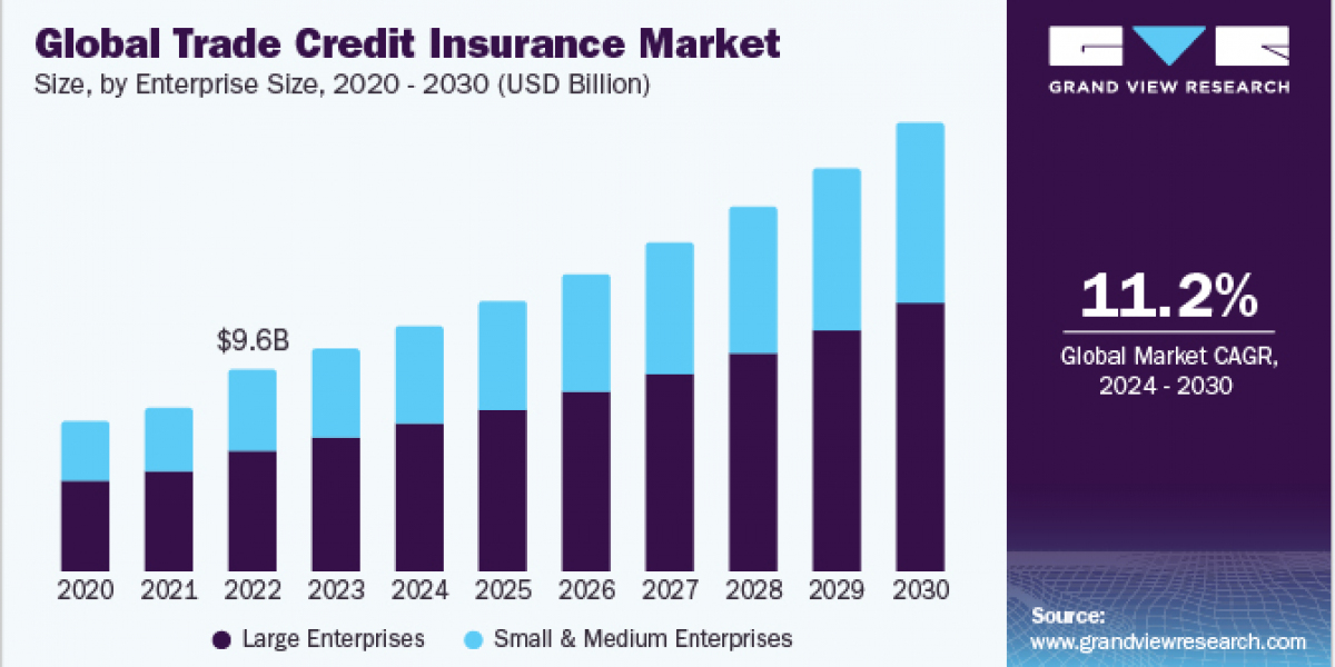 Trade Credit Insurance Market 2030: How to Protect Your Business Against Non-Payment