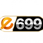 e699