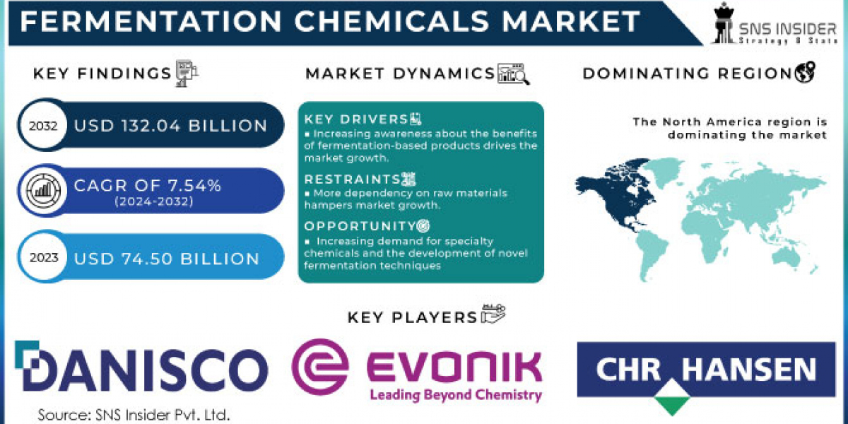 Fermentation Chemicals Market: Analyzing the Role of Organic Acids