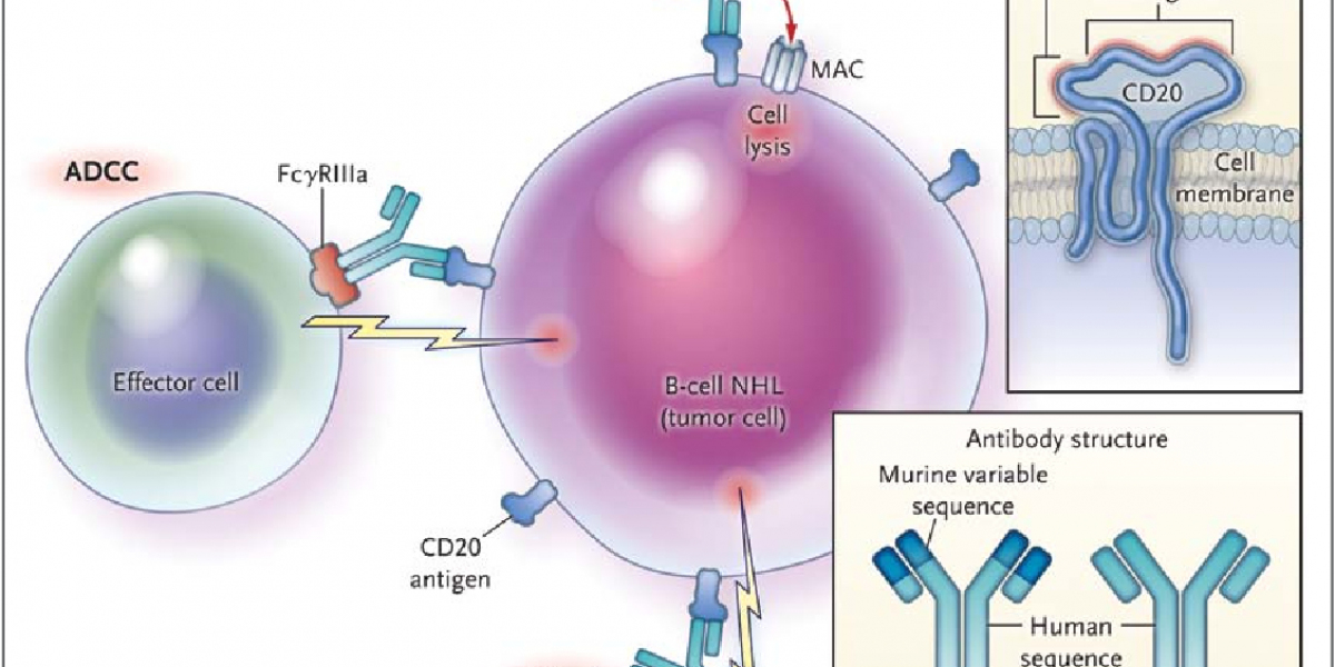 Obinutuzumab Market in Non-Hodgkin Lymphoma (NHL) & CLL