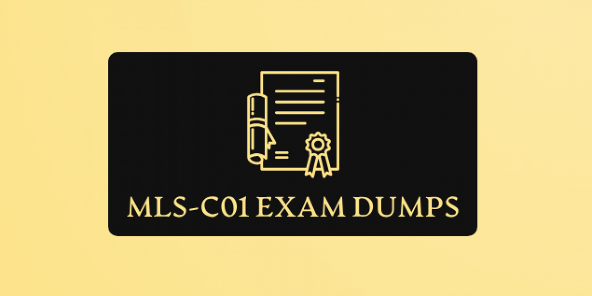 Save Time and Succeed with MLS-C01 Exam Dumps by DumpsBoss