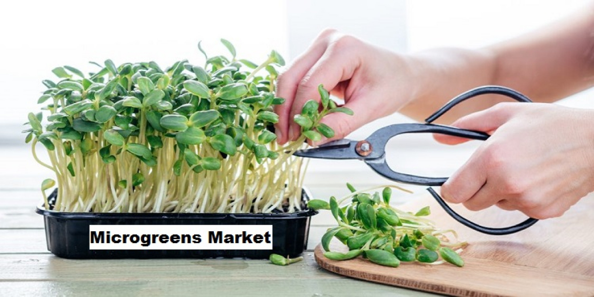 Microgreens Market Driven by Growing Consumer Demand for Healthy Foods