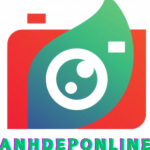 Ảnh đẹp online