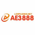 AE3888 looplooks