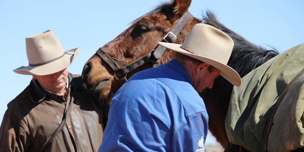 Discover the Timeless Charm of Australian Hats in Malibu: A Stylish Essential for Every Occasion