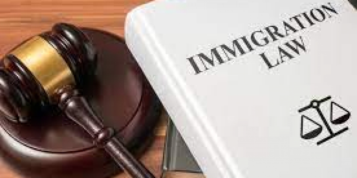 How a Virginia Immigration Lawyer Can Assist Refugees Seeking Resettlement