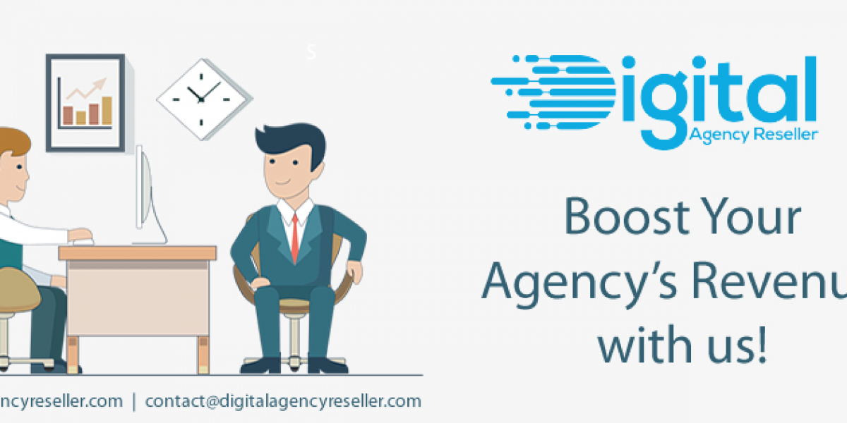 Affordable Web Design & Development Packages – Digital Agency Reseller