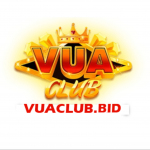 vuaclub Bid