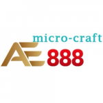 AE888 microcraft