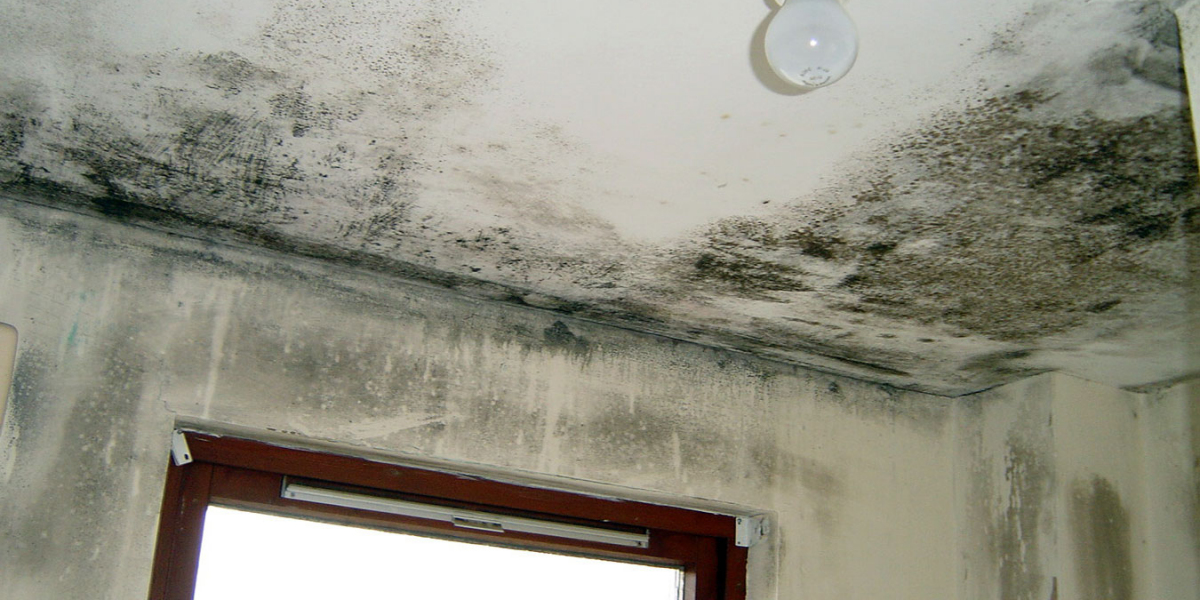 Expert Solutions for Condensation Issues Andover: Protect Your Property