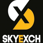 SkyExchange VIP