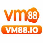 VM 88