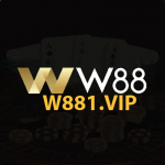 W881 vip