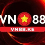 VN88