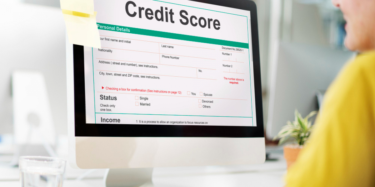 Mastering the Art of Credit Score Improvement