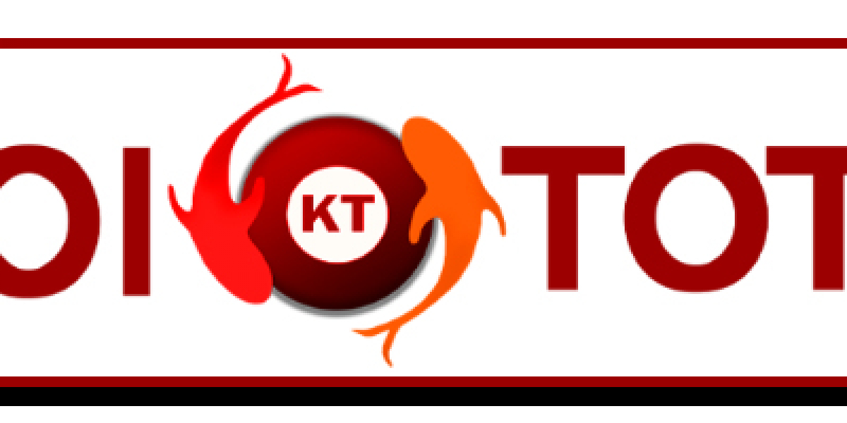 Is Koitoto the Right Choice for Your Business?