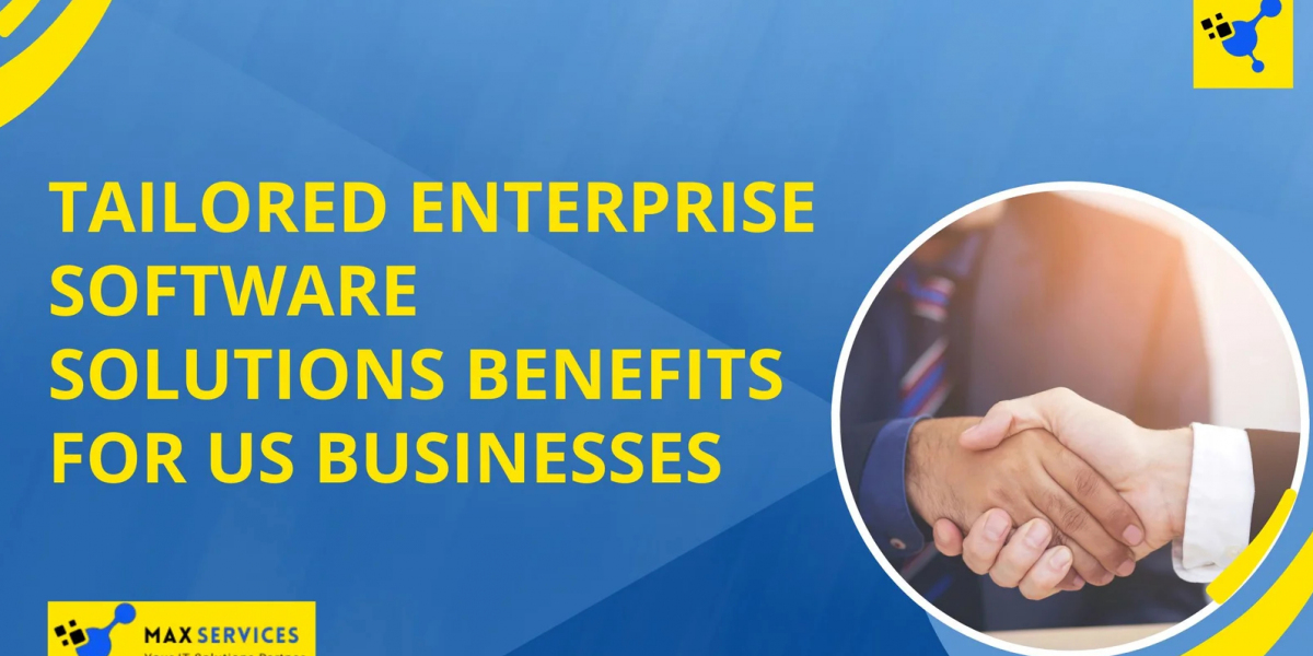 Customized Enterprise Software A Game Changer for U.S. Businesses