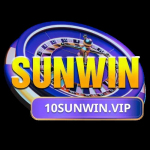 SUNWIN observer