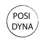 posi dyna